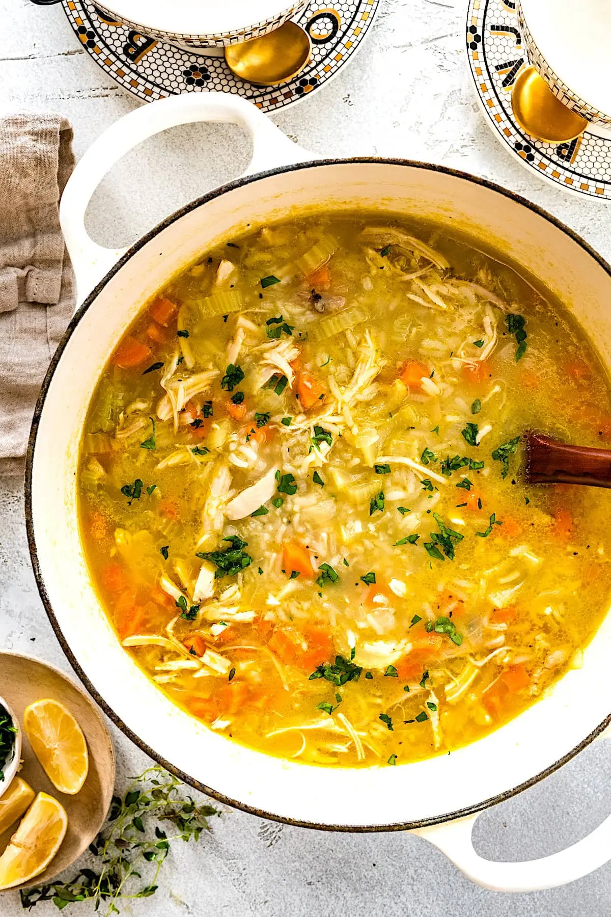 Chicken and Rice Soup Recipe 6