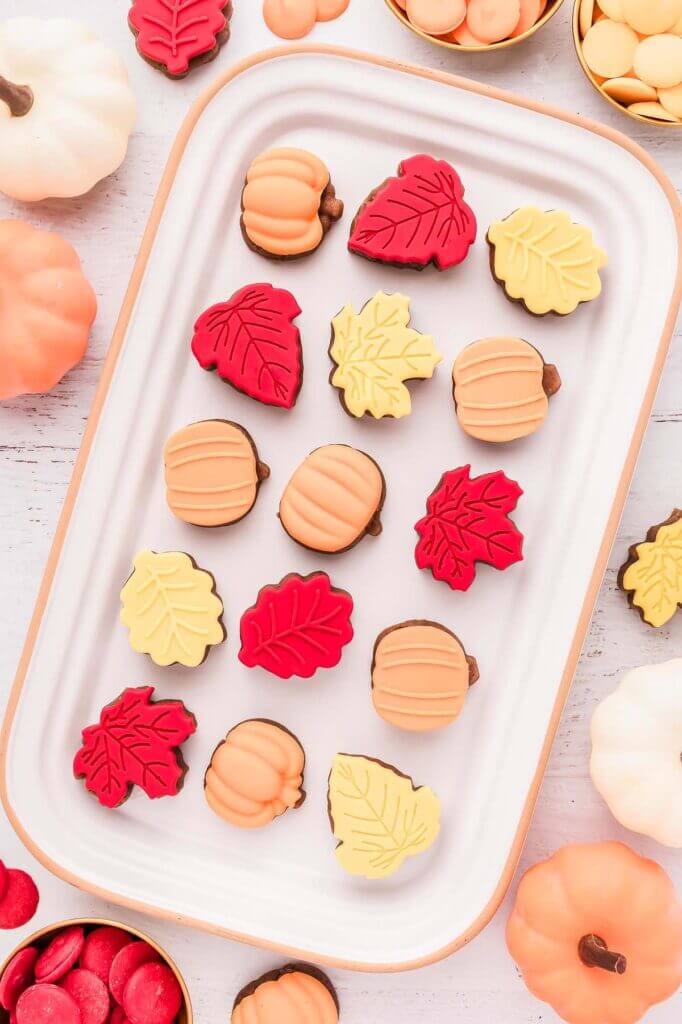 Fall Cake Bites