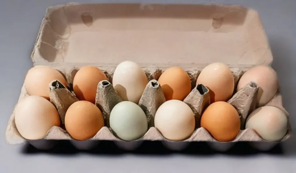Farm Fresh Eggs