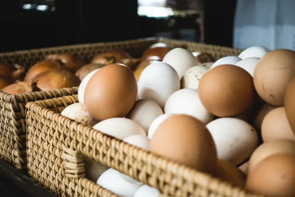 Fresh eggs in a grocery store