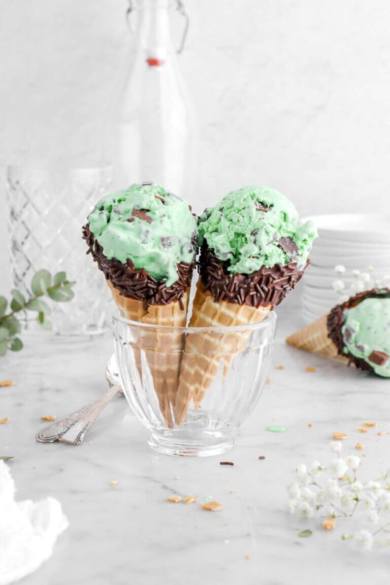 No Cook Mint Chocolate Chip Ice Cream