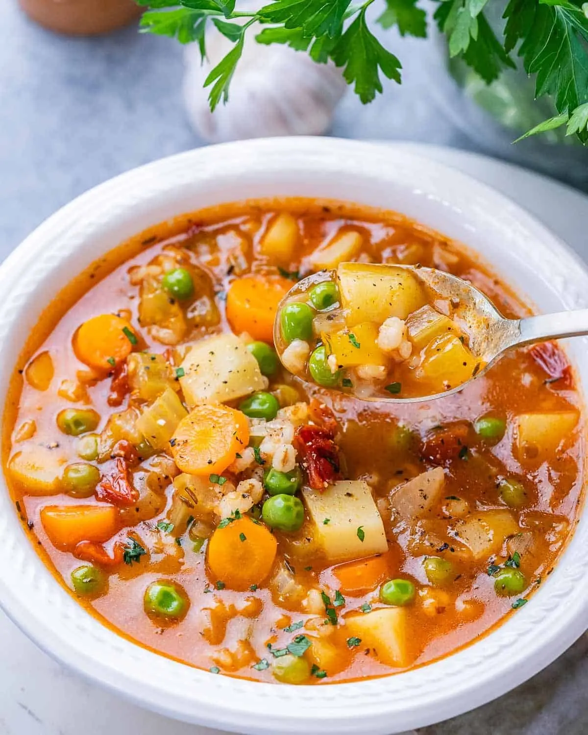 Vegetable Barley Soup