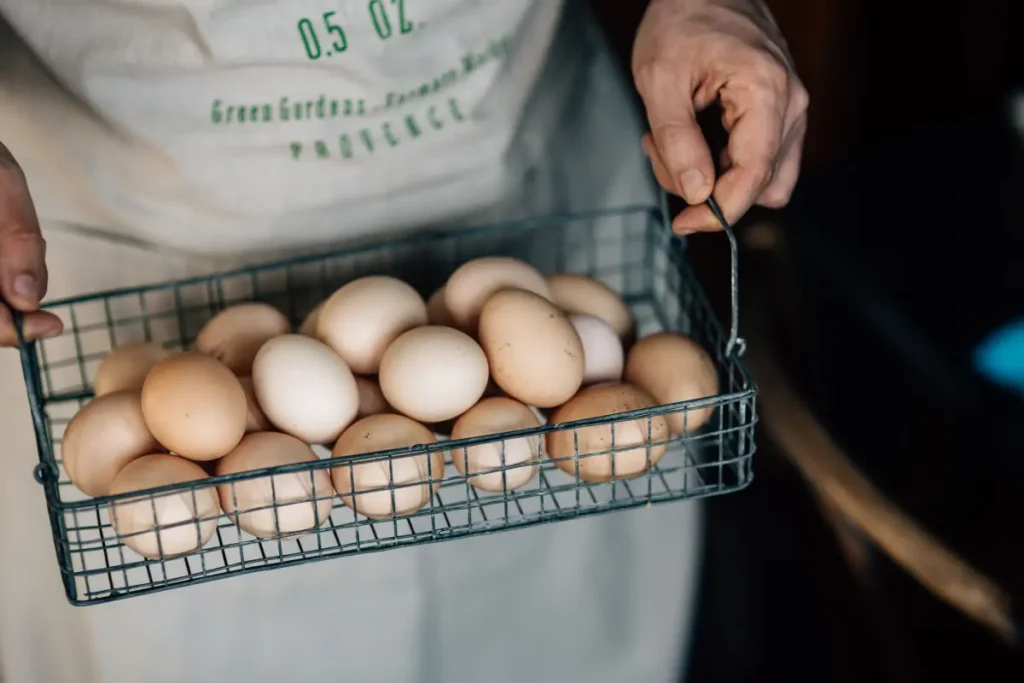 dozen eggs